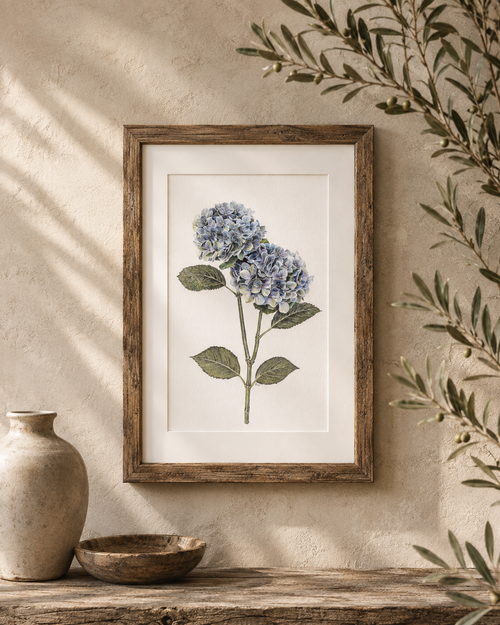 A4 Blue Hydrangeas Print